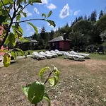 Vodograi *