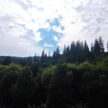 Vodograi Gasthof