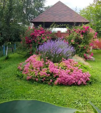 Guest house Vodograi *