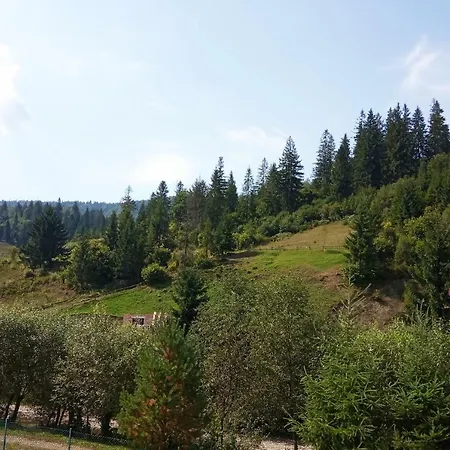 Gasthof Vodograi *