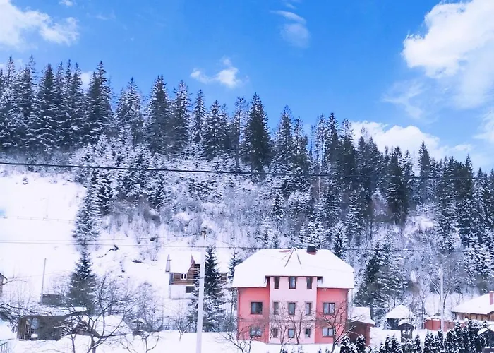 Vodograi